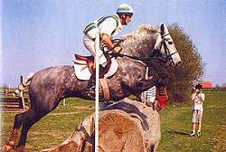 Asterix II